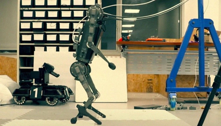 Robot Köpekler Evrim Geçiriyor!