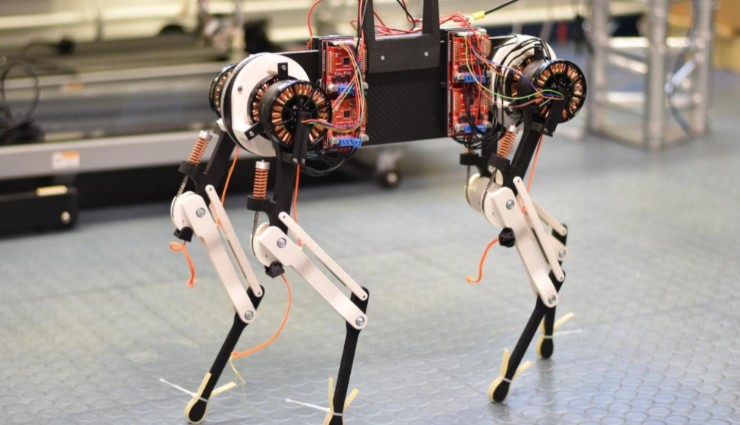 Robot Köpek Yürümeyi 1 Saatte Öğrendi!