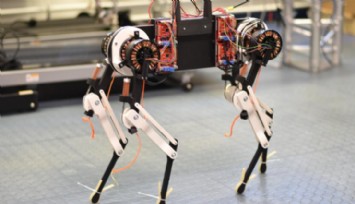 Robot Köpek Yürümeyi 1 Saatte Öğrendi!