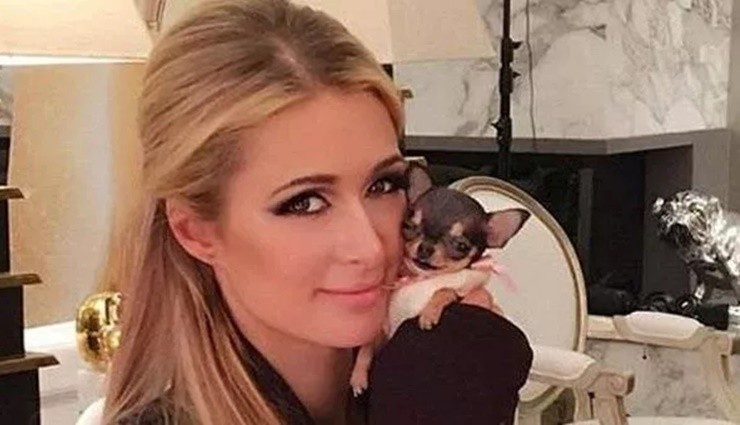 Paris Hilton Kayıp Köpeğini Arıyor!