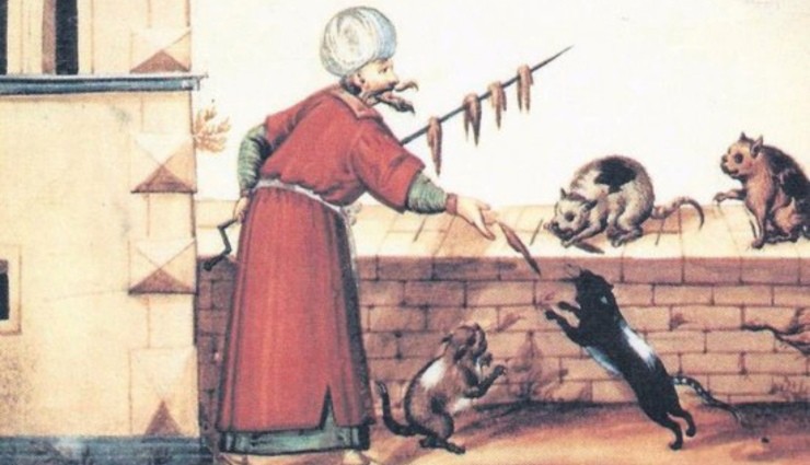 Doğu-Batı Arasında Kedi Tarihi!