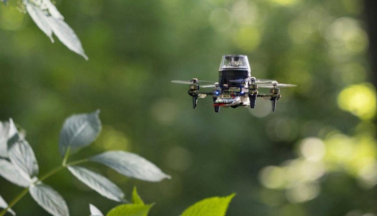 Karıncalar Kopyalanarak Drone Yapıldı!